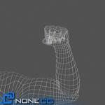 Adult Male Arms and Hands