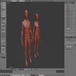 Realistic Human Basemesh - Male and Female - Free Sample Preview