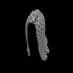 Base Stylized Haircuts 1-5