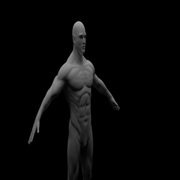Male 3D Model - Human Anatomy