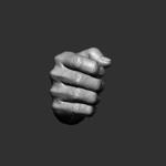 Realistic male hand 3D model