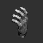 Realistic male hand