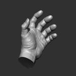 Realistic male hand
