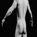 Male base mesh