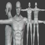 Realistic Male Body Basemesh