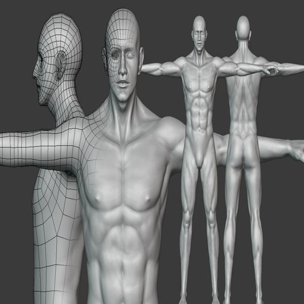 Realistic Male Body Basemesh