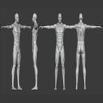 Realistic Male Body Basemesh