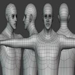 Realistic Male Body Basemesh