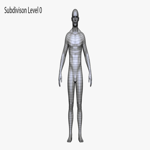 Realistic White Male and Female Low Poly