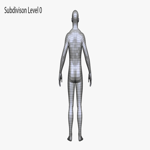 Realistic White Male and Female Low Poly