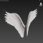 Angel Wings Type 3