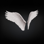 Angel Wings Type 3