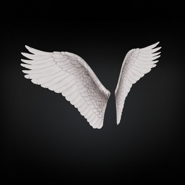 Angel Wings Type 3
