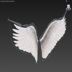 Angel Wings Type 3