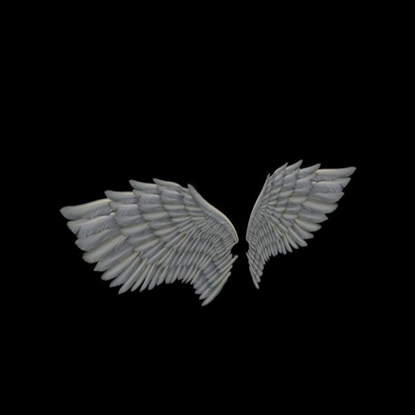 Angel Wings Type 1 - Free