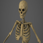 Skeleton - PBR - Animated - Low Poly