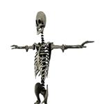 SKELETON