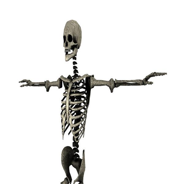 SKELETON