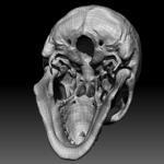 Free Skull Teeth and Jaw 3D Base Mesh