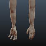 Male Arm Sculpt