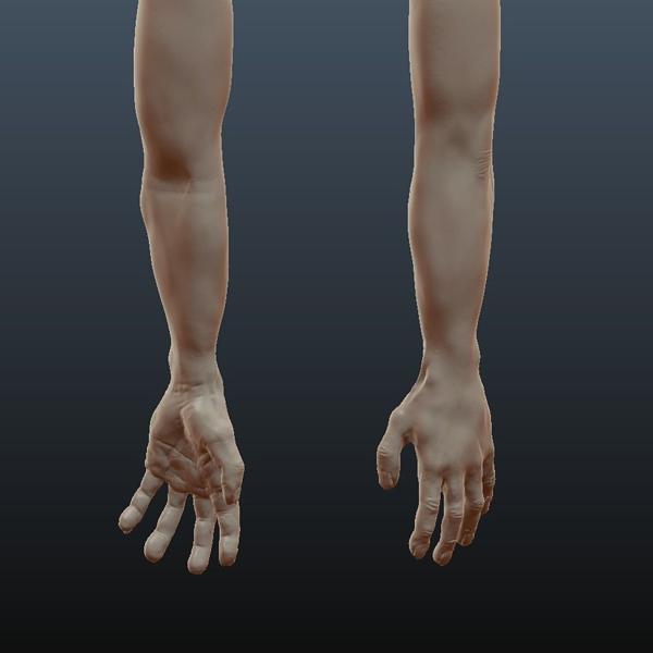 Male Arm Sculpt